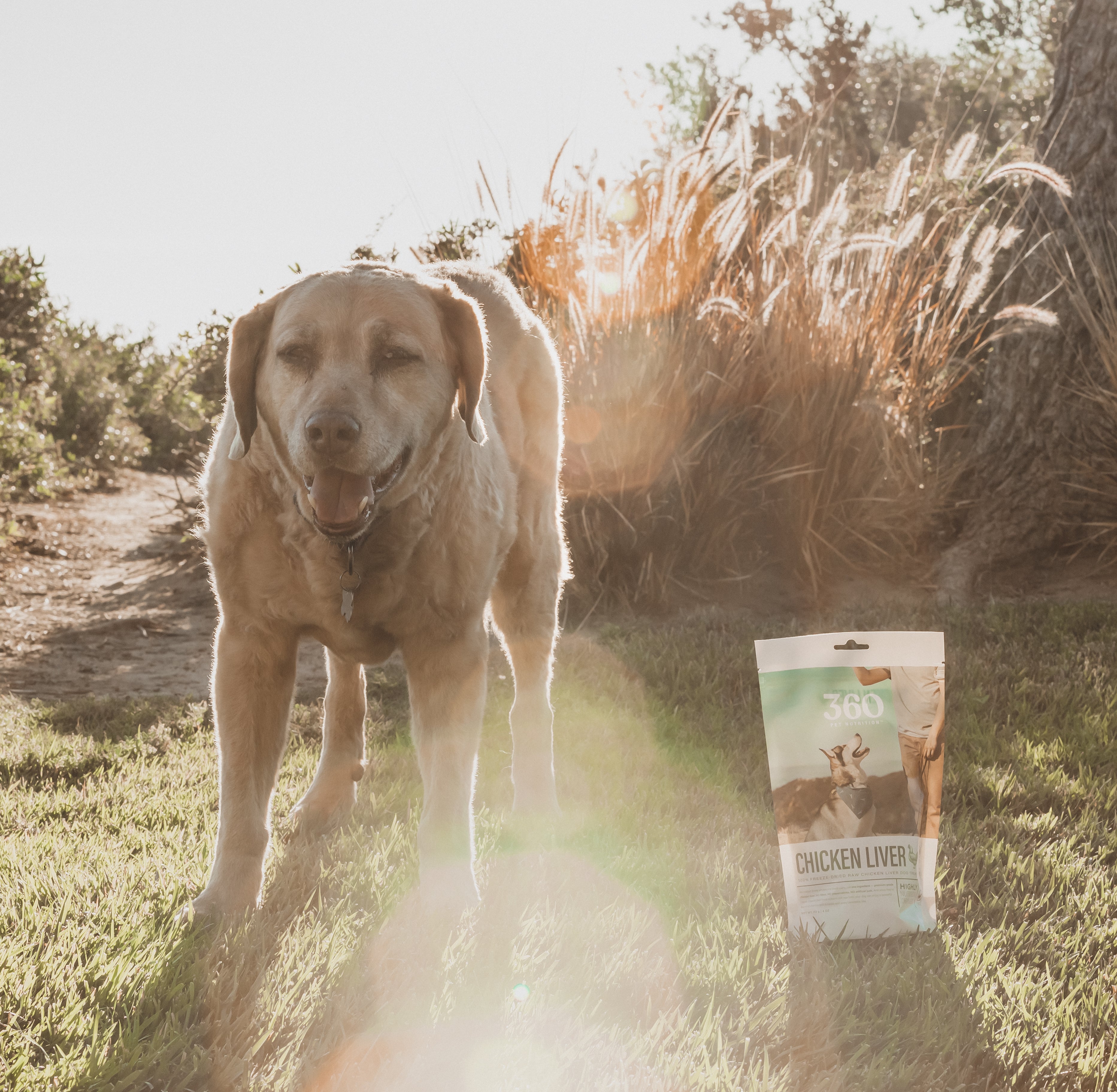 Freeze-Dried Dog Food